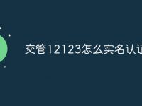 交管12123怎么实名认证-路由网
