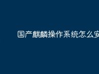 国产麒麟操作系统怎么安装-路由网