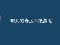 哪儿的春运不抢票呢-路由网