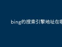 bing的搜索引擎地址在哪-路由网