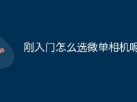 刚入门怎么选微单相机呢-路由网