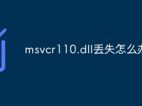 msvcr110.dll丢失怎么办-路由网