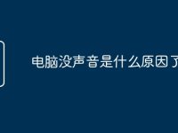 电脑没声音是什么原因了-路由网