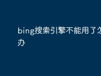 bing搜索引擎不能用了怎么办-路由网