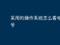 采用的操作系统怎么看电脑型号-路由网
