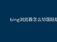bing浏览器怎么切国际版-路由网