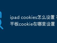ipad cookies怎么设置 苹果平板cookie在哪里设置-路由网