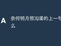 奈何明月照沟渠的上一句是什么-路由网