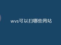 wvs可以扫哪些网站-路由网