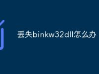 丢失binkw32dll怎么办-路由网