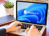 如何减少Windows 11追踪行为-路由网