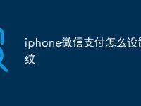 iphone微信支付怎么设置指纹-路由网