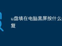 u盘填在电脑黑屏按什么键恢复-路由网