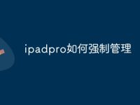 ipadpro如何强制管理-路由网