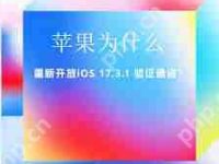 iOS17.3.1开放验证通道-路由网