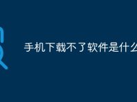 手机下载不了软件是什么原因-路由网