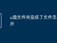 u盘文件夹变成了文件怎么打开-路由网