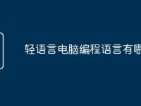 轻语言电脑编程语言有哪些-路由网