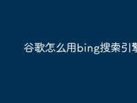 谷歌怎么用bing搜索引擎-路由网