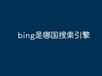 bing是哪国搜索引擎-路由网