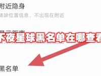不夜星球黑名单在哪查看-路由网
