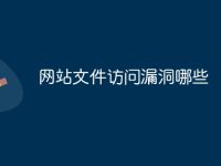 网站文件访问漏洞哪些-路由网