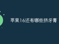 苹果16还有哪些挤牙膏-路由网