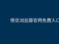 悟空浏览器官网免费入口-路由网