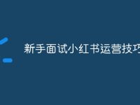 新手面试小红书运营技巧-路由网