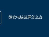 微软电脑蓝屏怎么办-路由网
