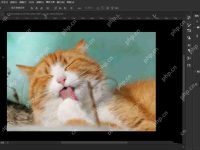 PS怎么清除剪贴板?Photoshop删除剪贴板记录的技巧-路由网