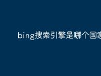 bing搜索引擎是哪个国家-路由网