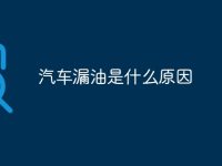 汽车漏油是什么原因-路由网
