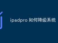 ipadpro 如何降级系统-路由网
