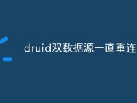 druid双数据源一直重连-路由网