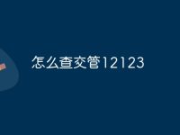 怎么查交管12123-路由网