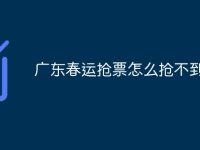 广东春运抢票怎么抢不到-路由网