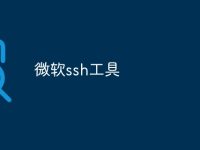 微软ssh工具-路由网