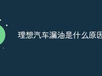 理想汽车漏油是什么原因-路由网
