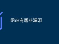 网站有哪些漏洞-路由网