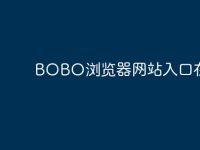 BOBO浏览器网站入口在哪里-路由网