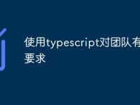 使用typescript对团队有什么要求-路由网