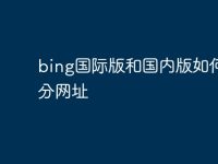 bing国际版和国内版如何区分网址-路由网
