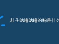 肚子咕噜咕噜的响是什么原因-路由网