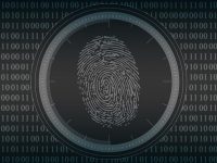 认证绕过漏洞有哪些-路由网