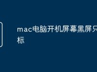 mac电脑开机屏幕黑屏只有鼠标-路由网