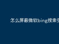 怎么屏蔽微软bing搜索引擎-路由网