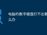 电脑的数字键盘打不出数字怎么办-路由网