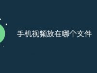 手机视频放在哪个文件-路由网