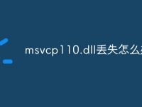 msvcp110.dll丢失怎么办-路由网